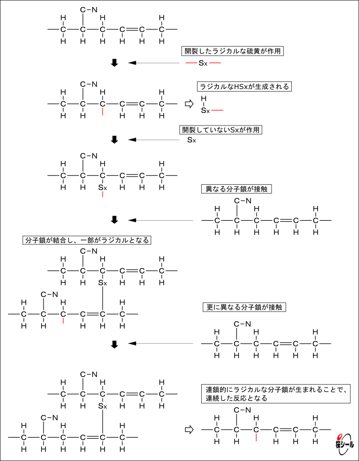 硫黄ラジカル反応図.png