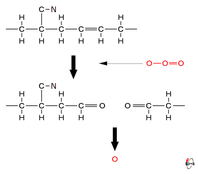 NBRのオゾン酸化模式図.png